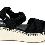Total Catch | Black