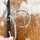 Silver Ball Hoop