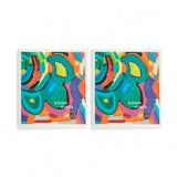 Airlift Biodegradable Dish Cloth | SET of 2