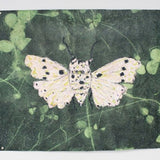 46x38 Paper Art - Butterfly Fern