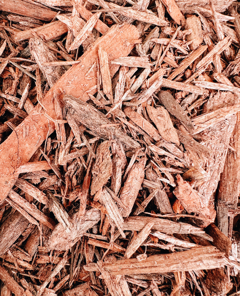 Red Mulch per Scoop