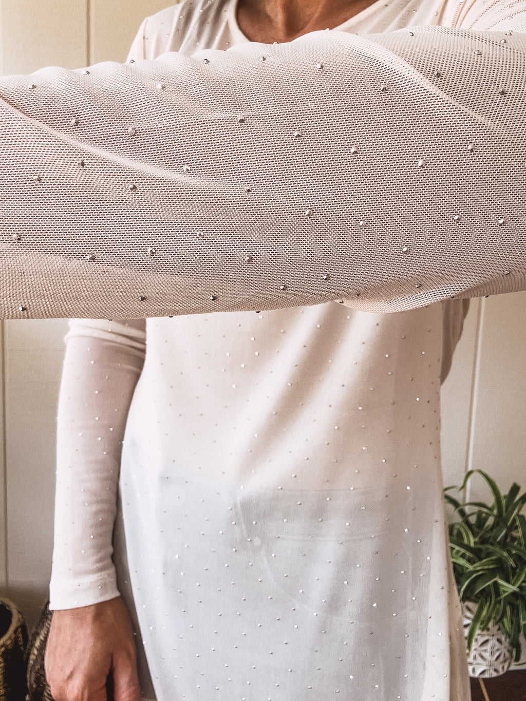 Beige Long Sleeve Mesh with Sparkle Detail