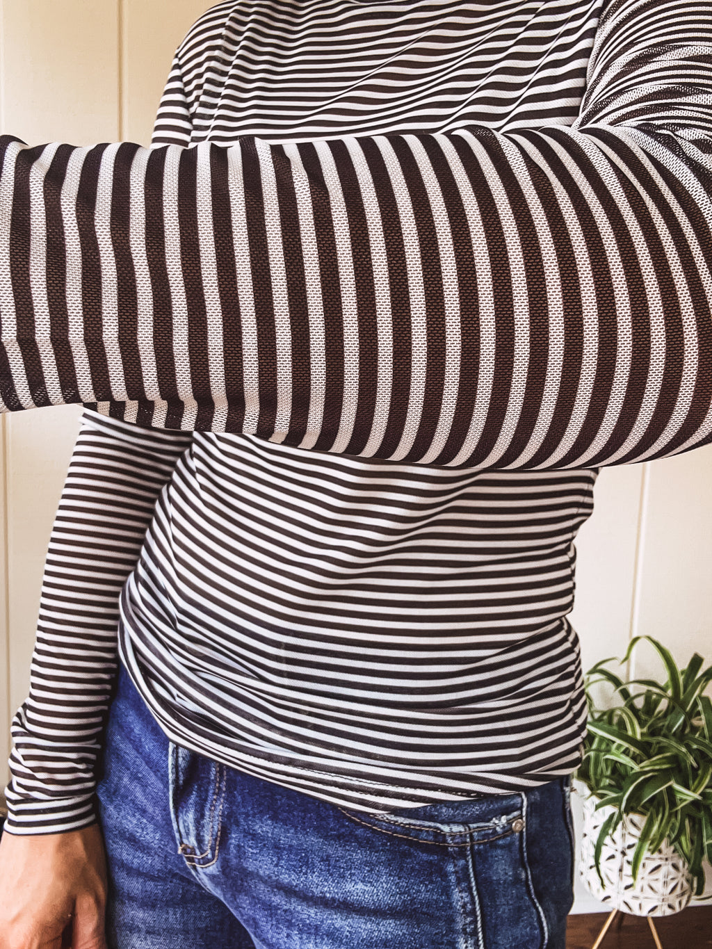 Black & White Stripe Sheer Mesh