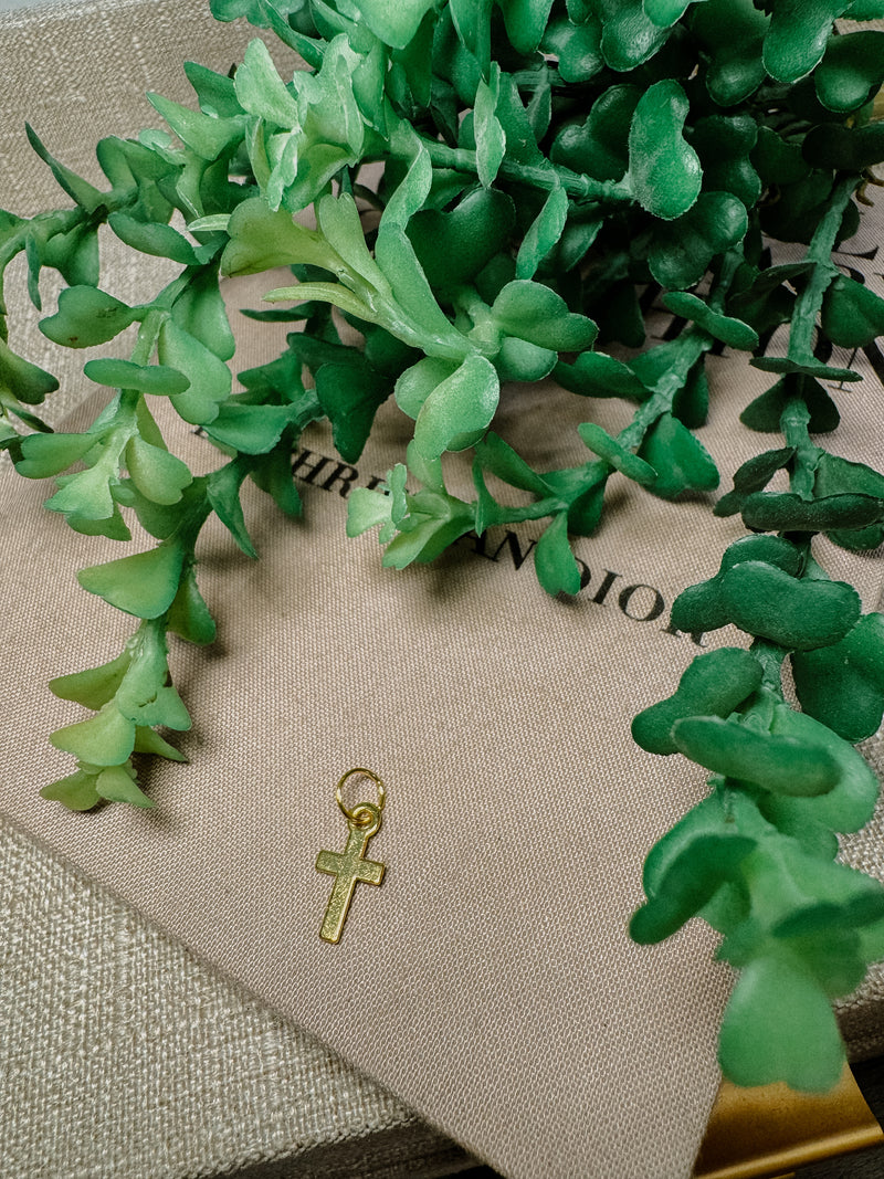 TLD Charm Bar Charm