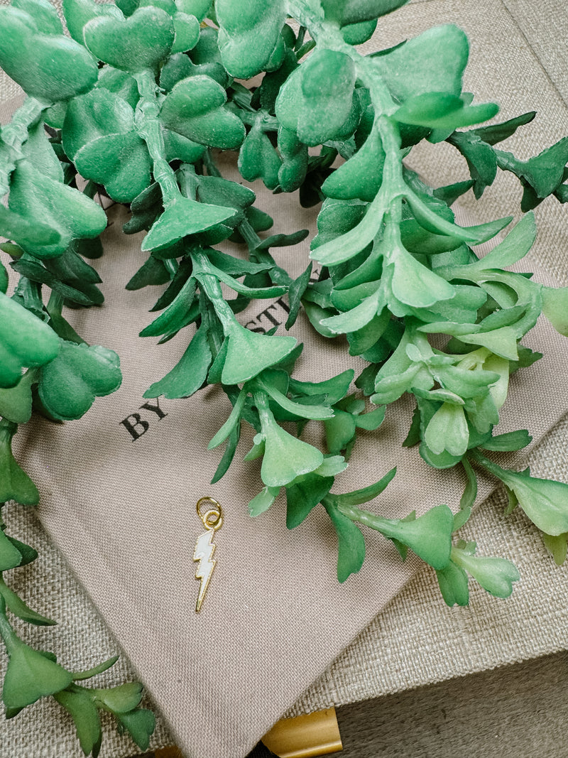TLD Charm Bar Charm