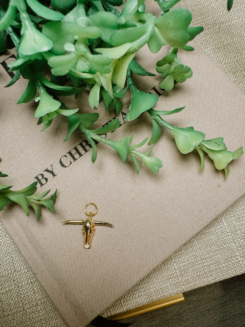 TLD Charm Bar Charm