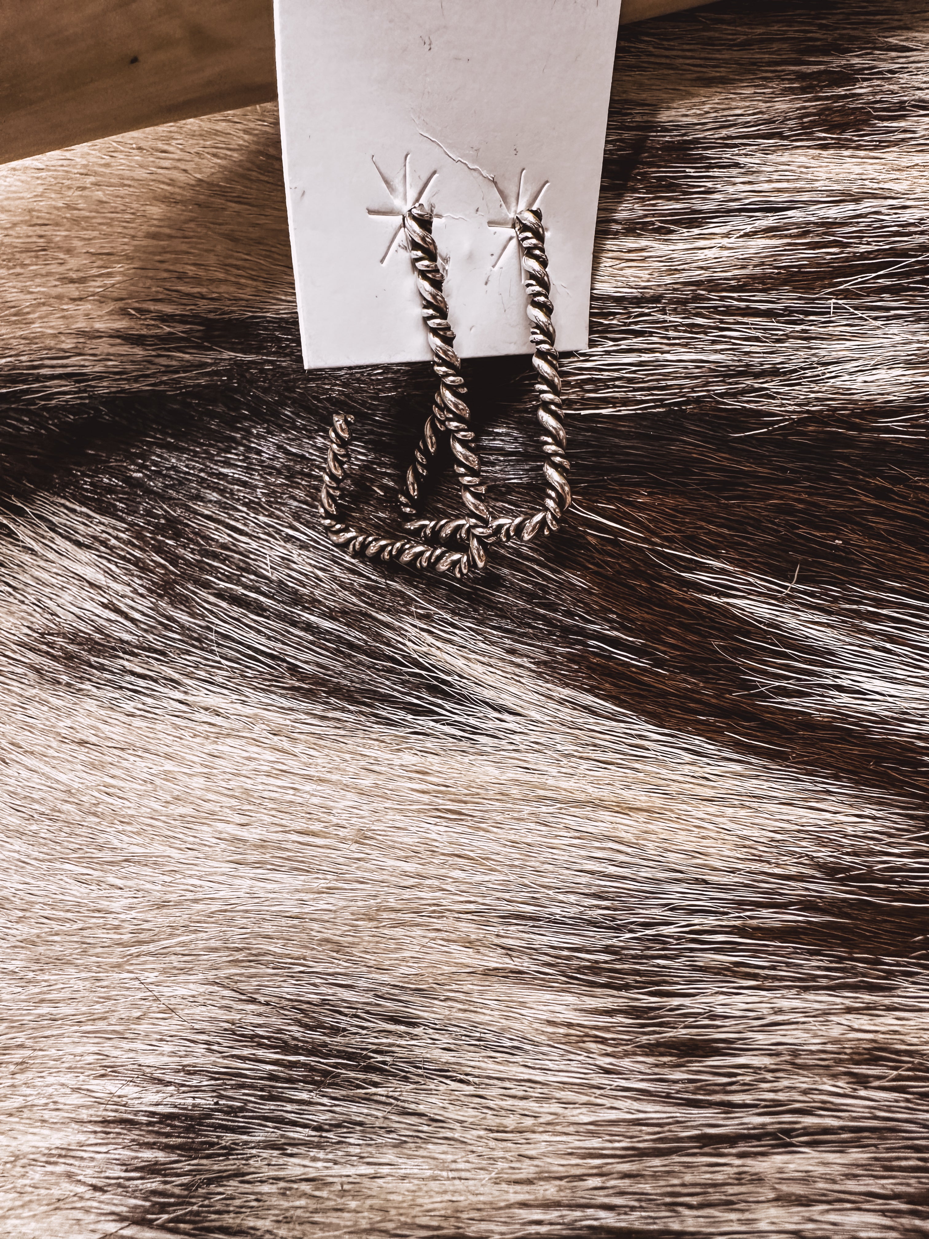 ROPE HOOP TWIST EARRINGS SS