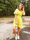Avocado Waist Cinch Flare Dress