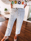 Washed Denim Stripe Twill Pant