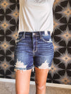 HW Destroyed Dark Shorts