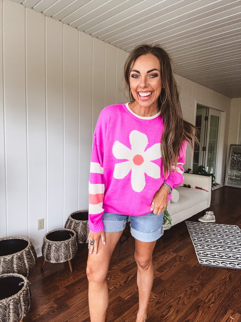 Orchid Daisy Stripe Colorblock Pullover