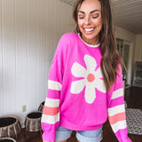 Orchid Daisy Stripe Colorblock Pullover