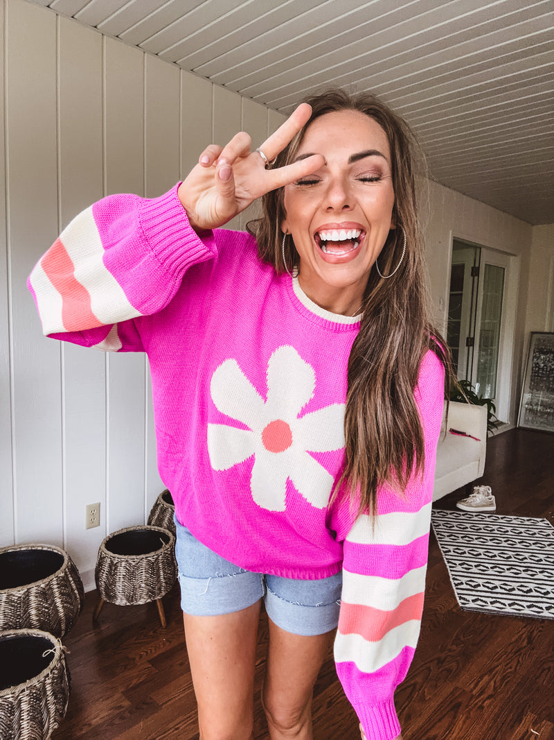 Orchid Daisy Stripe Colorblock Pullover