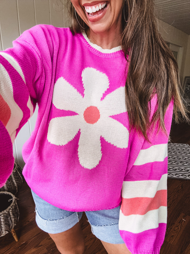 Orchid Daisy Stripe Colorblock Pullover