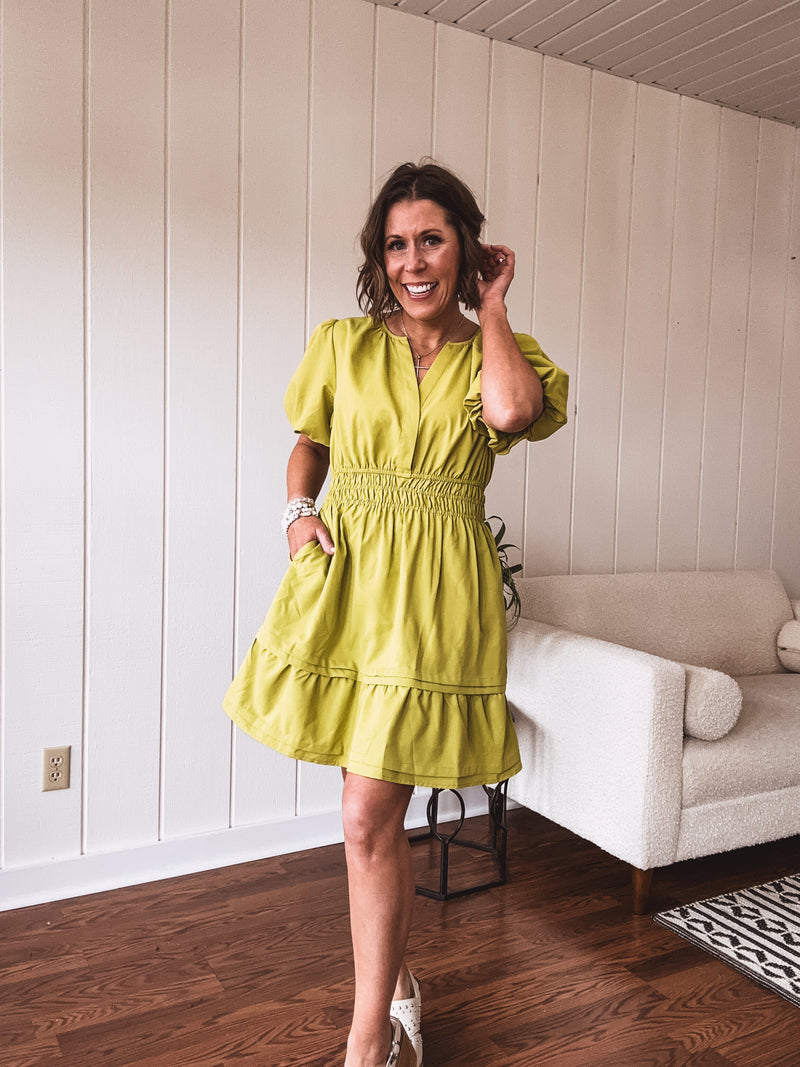 Avocado Waist Cinch Flare Dress