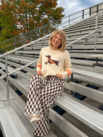 Cream lightweight long sleeved sweater with Weiner Dog graphic on front with orange stripes at the sleeves.