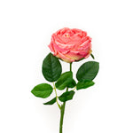 Real Touch English Rose 17"