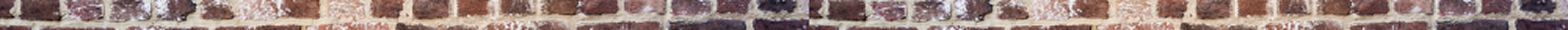 Red Racoon texture