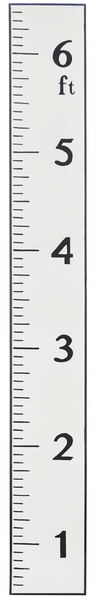 Oversized Ruler Growth Chart