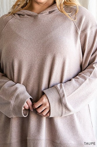 Taupe Hacci Brushed Hooded Pullover with Rib Detail