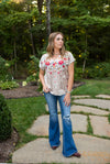 Oyster Velvet Embroidered V Neck Blouse