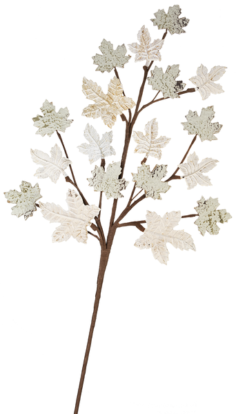 Leaves Spray