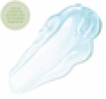 Watercress Hydration Cascade® Gelée Moisturizer