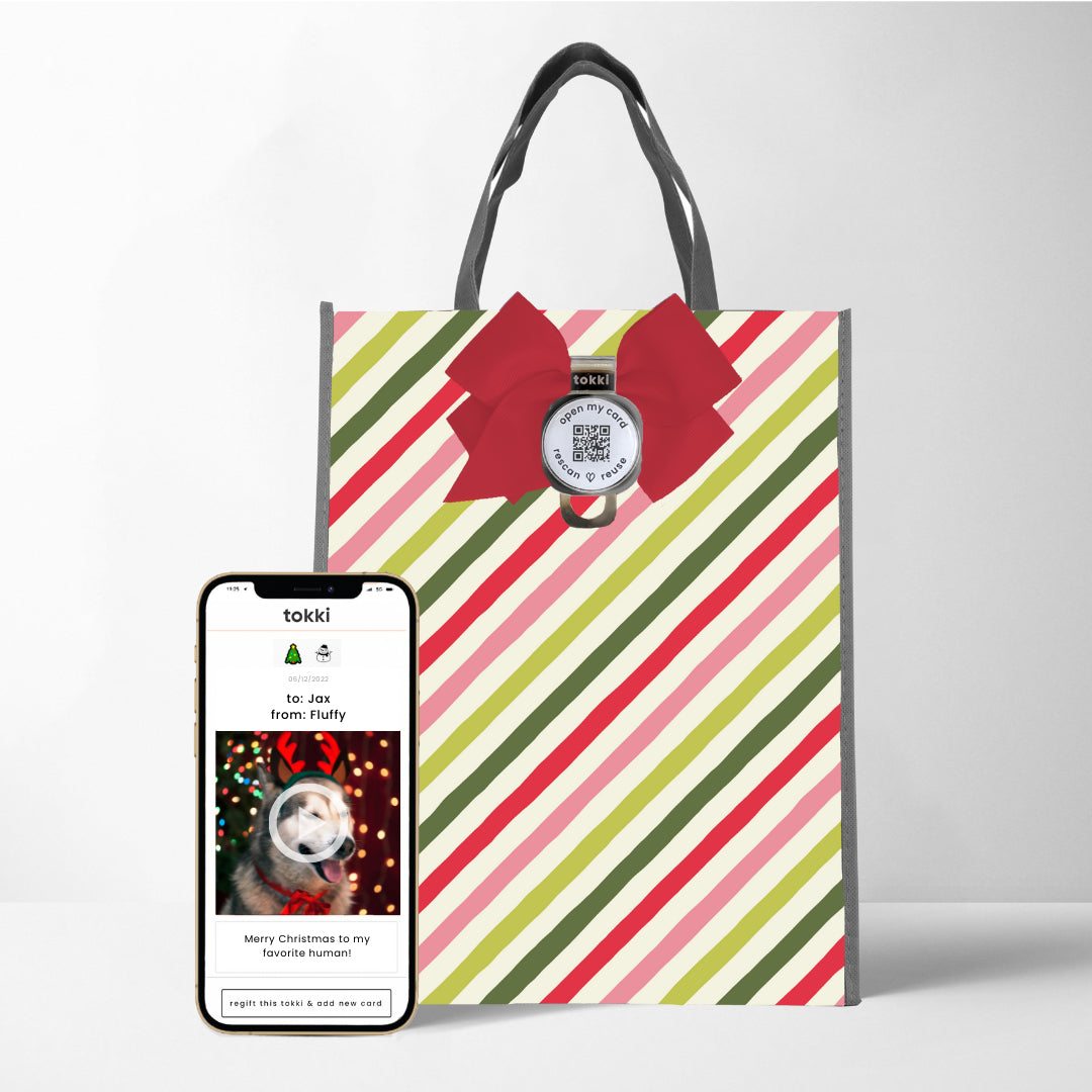 QR Card + Gift Bag | Medium
